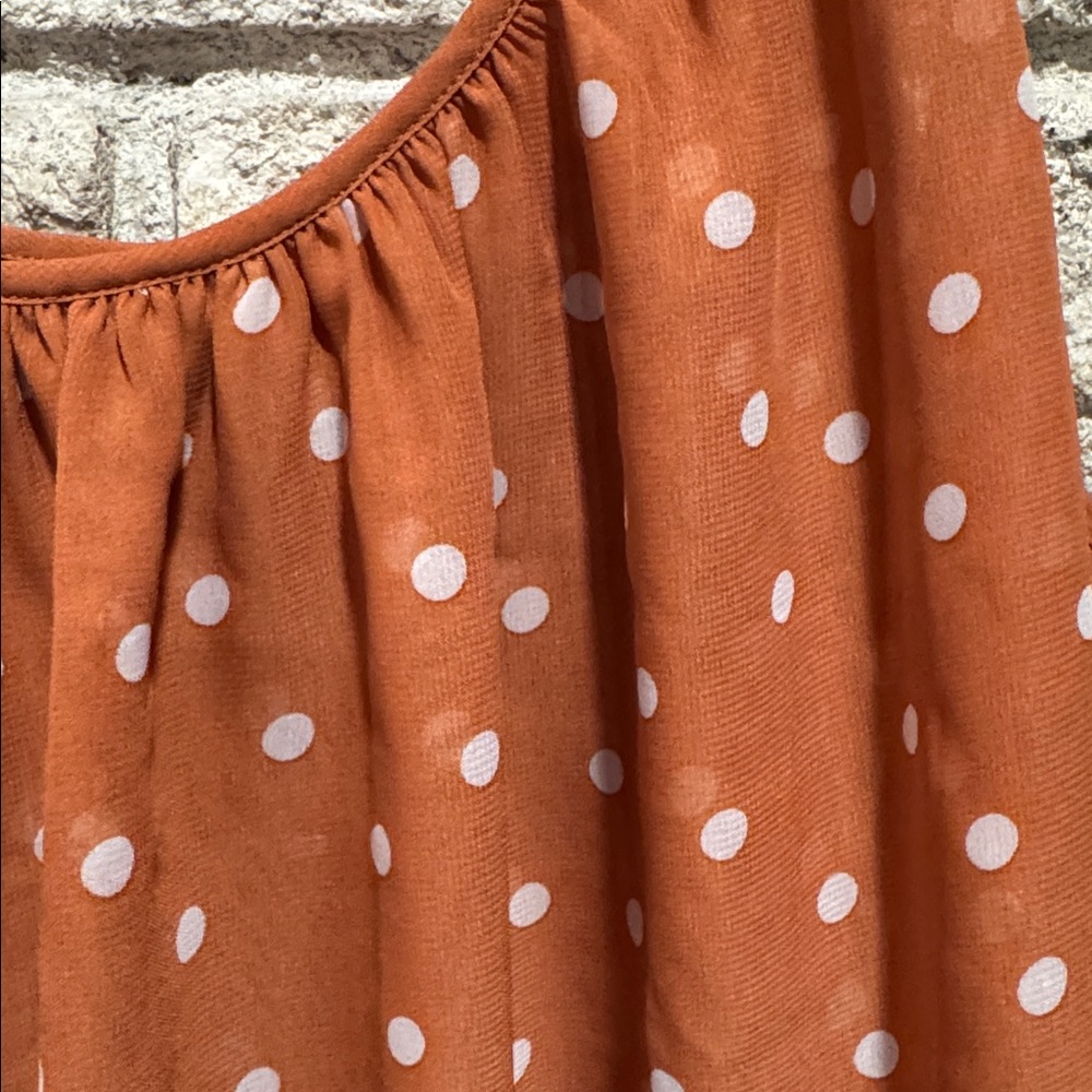 Lane Bryant Fully lined Polka Dot Sleeveless Top - Picture 4 of 5